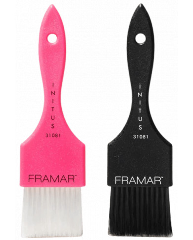 FR Color Brush Power Painter 2pcs
