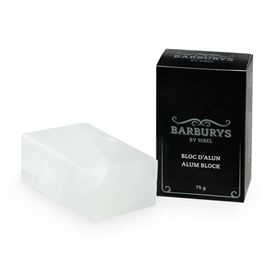BARBURYS Alum Block 75g