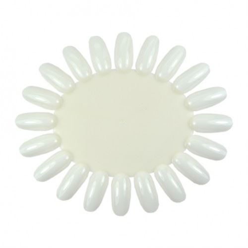 Colorwheel Oval NATURAL (10pcs / bag) , No Label | 311725