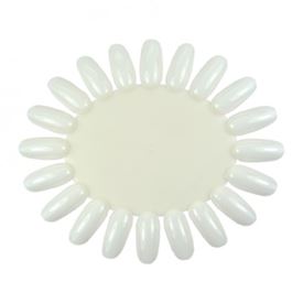 Colorwheel Oval NATURAL (10pcs / bag) , No Label | 311725