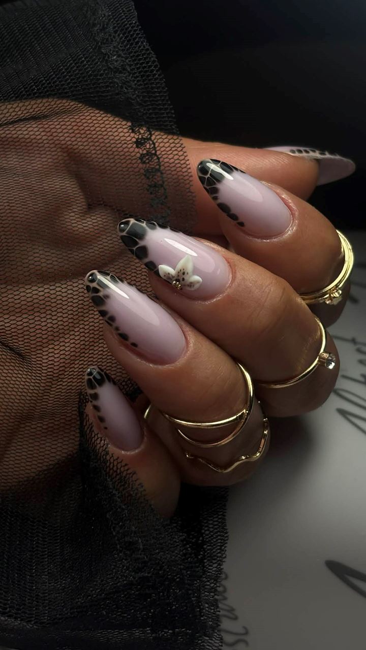 FORMATION -Perfectionnement capsule américaine