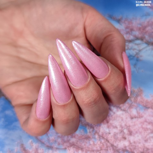 Flower Petals 5ml | Abstract