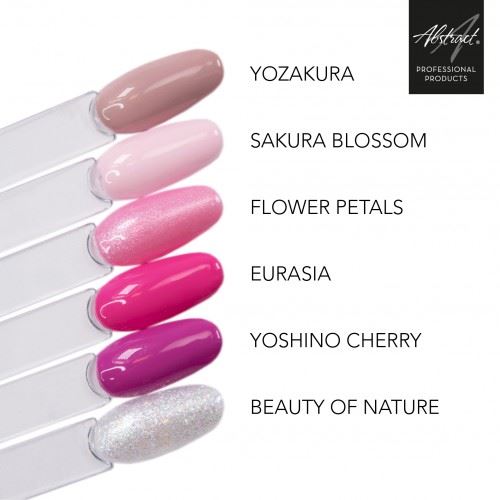 Ritual Of Hanami |Abstract Colors
