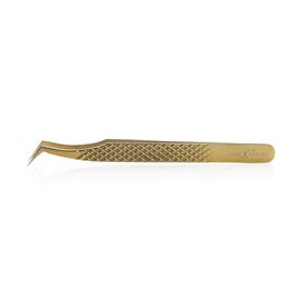 Diamond Collection: PITT