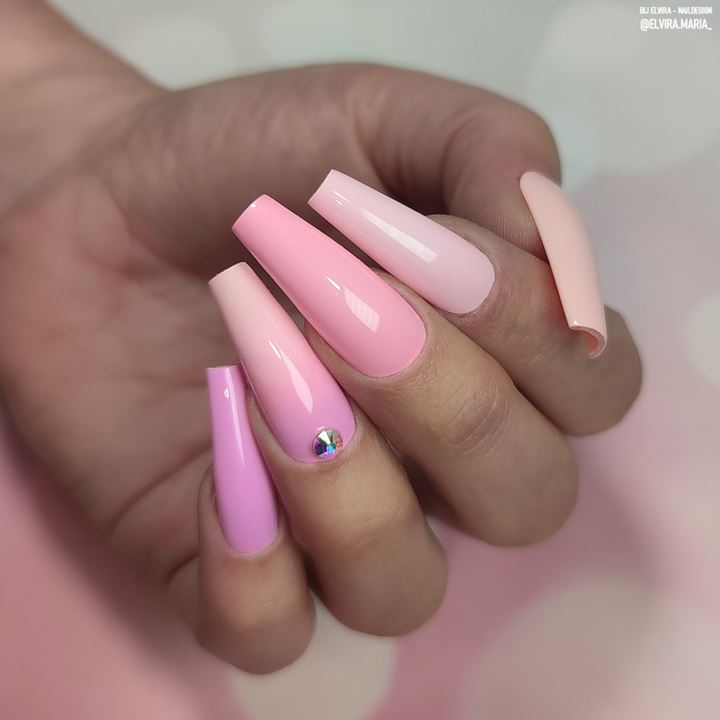BNC2 Sweet Instigator Collection