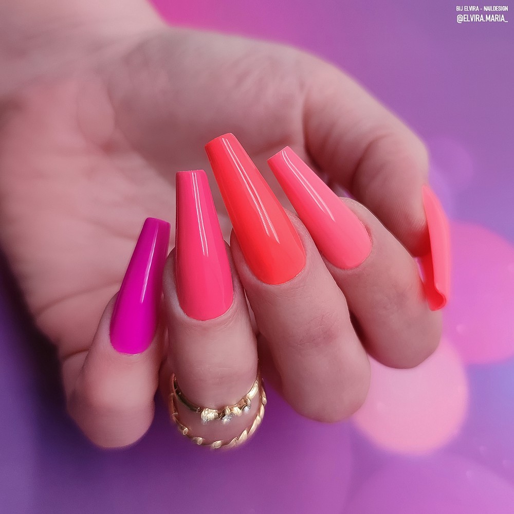 BNC3 Spice It Up Collection