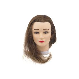 ALINE tête d'apprentissage