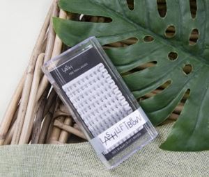 Lash Lift Brow
